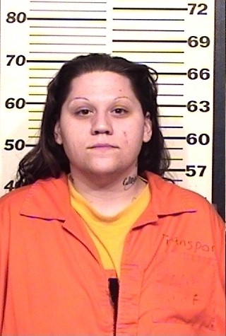 Carissa D Schwantz